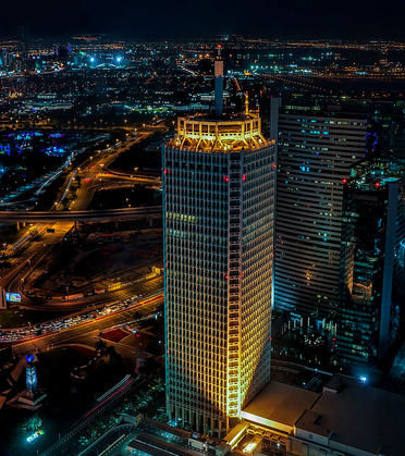 DWTC free zone login